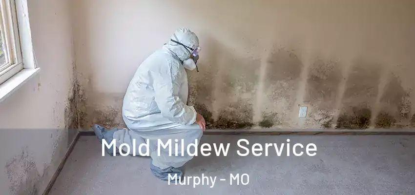  Mold Mildew Service Murphy - MO