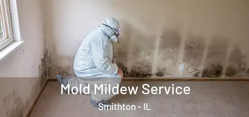  Mold Mildew Service Smithton - IL