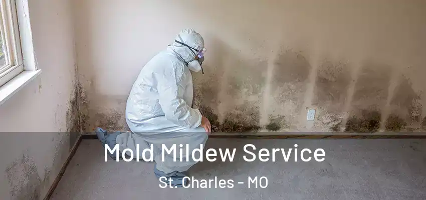  Mold Mildew Service St. Charles - MO