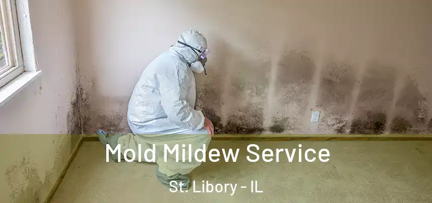  Mold Mildew Service St. Libory - IL