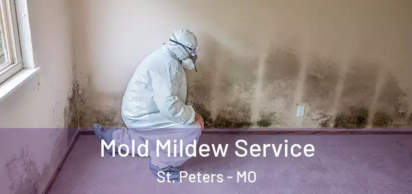  Mold Mildew Service St. Peters - MO