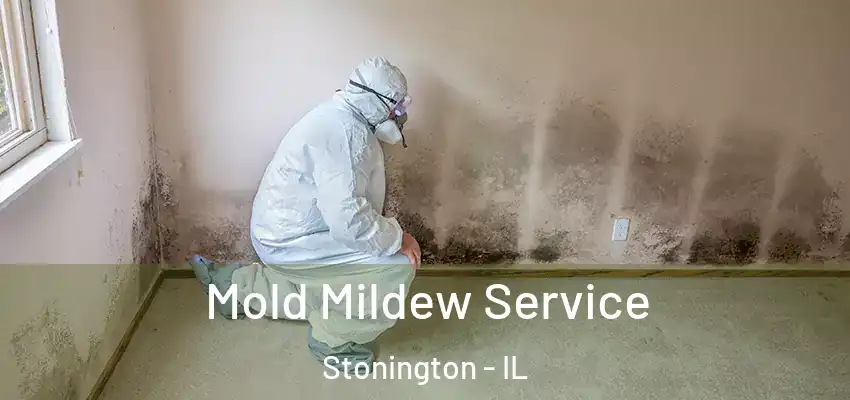  Mold Mildew Service Stonington - IL