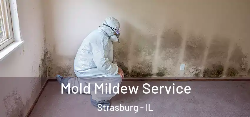 Mold Mildew Service Strasburg - IL