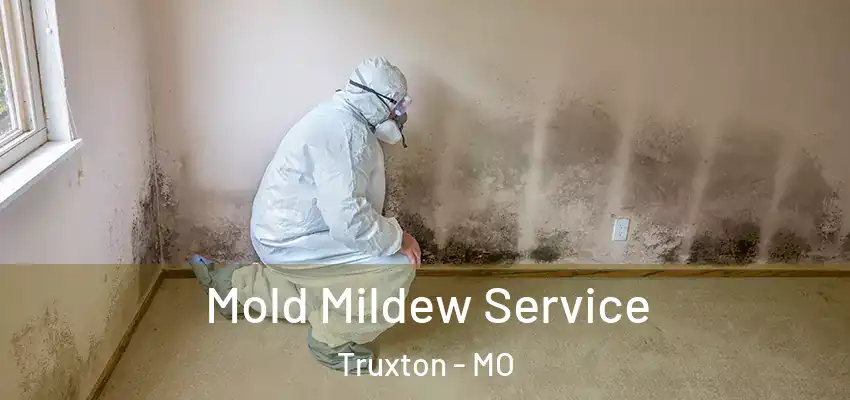  Mold Mildew Service Truxton - MO