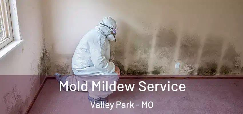  Mold Mildew Service Valley Park - MO