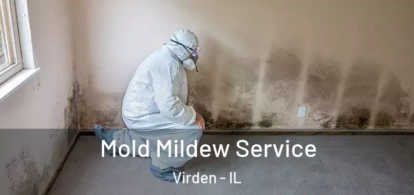  Mold Mildew Service Virden - IL