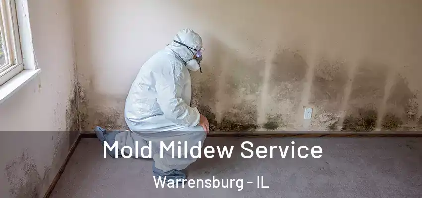  Mold Mildew Service Warrensburg - IL