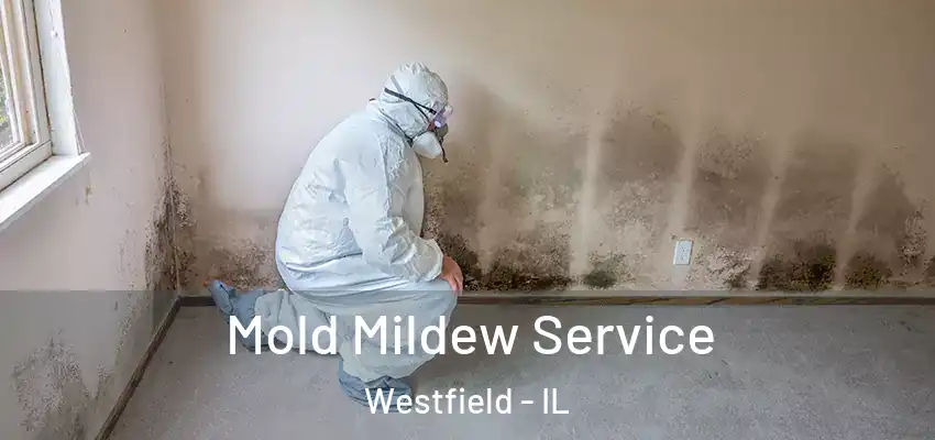  Mold Mildew Service Westfield - IL
