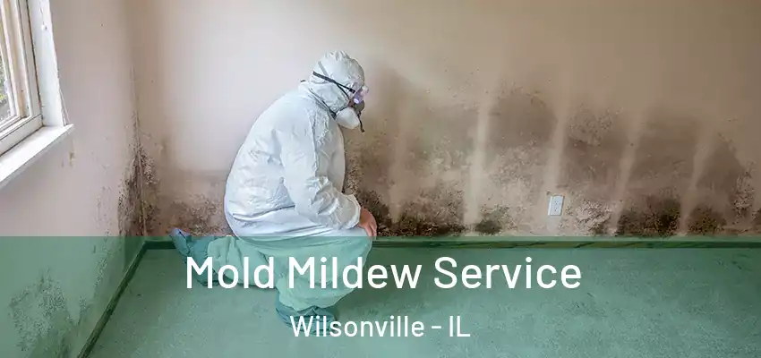 Mold Mildew Service Wilsonville - IL