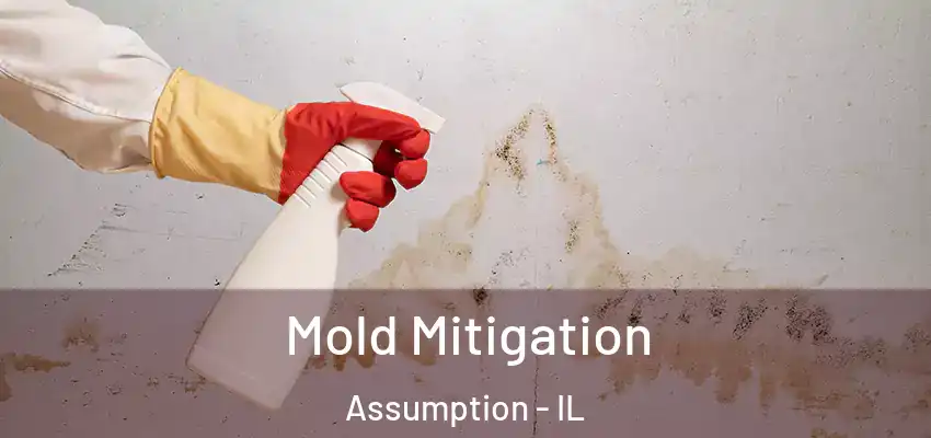  Mold Mitigation Assumption - IL
