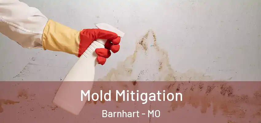 Mold Mitigation Barnhart - MO