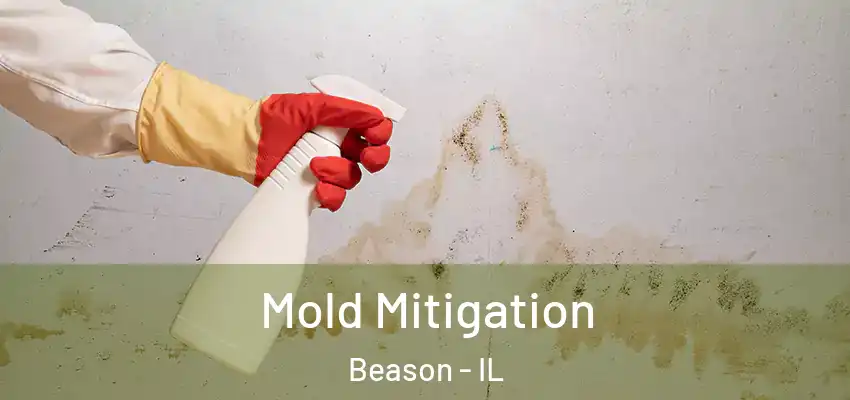  Mold Mitigation Beason - IL