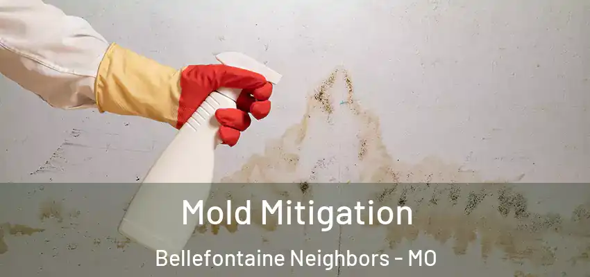  Mold Mitigation Bellefontaine Neighbors - MO