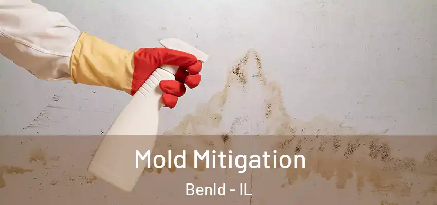  Mold Mitigation Benld - IL