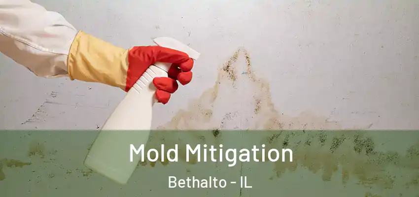  Mold Mitigation Bethalto - IL