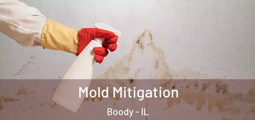  Mold Mitigation Boody - IL