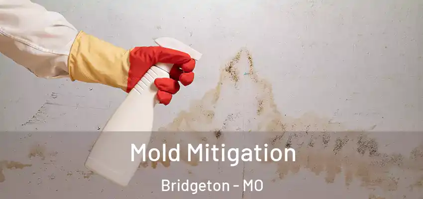  Mold Mitigation Bridgeton - MO
