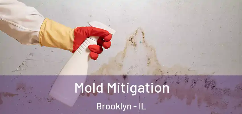  Mold Mitigation Brooklyn - IL