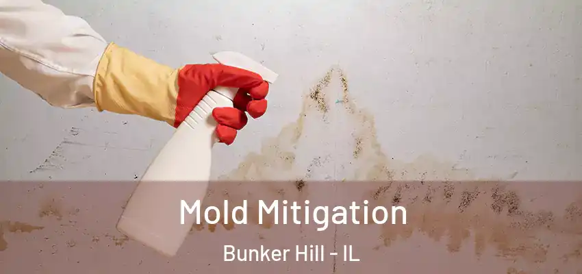  Mold Mitigation Bunker Hill - IL