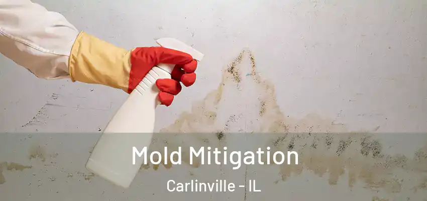  Mold Mitigation Carlinville - IL