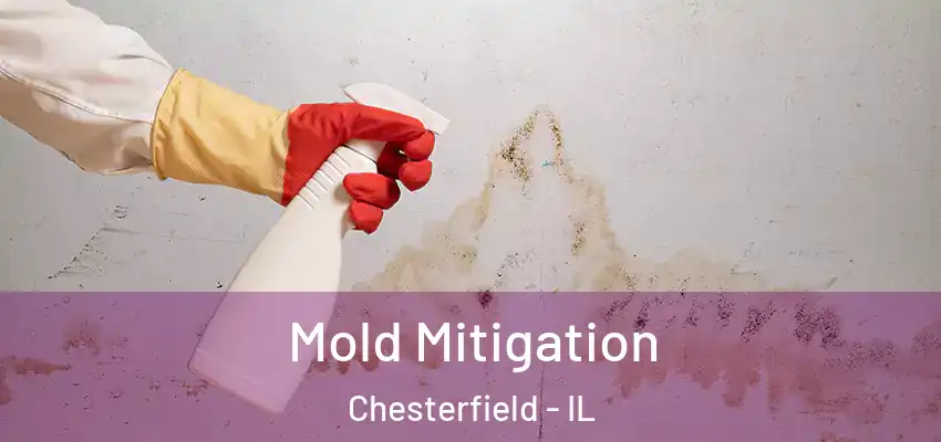  Mold Mitigation Chesterfield - IL