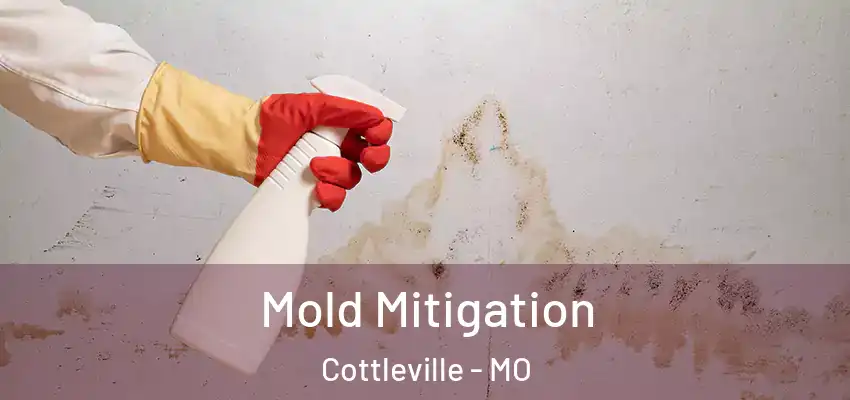  Mold Mitigation Cottleville - MO