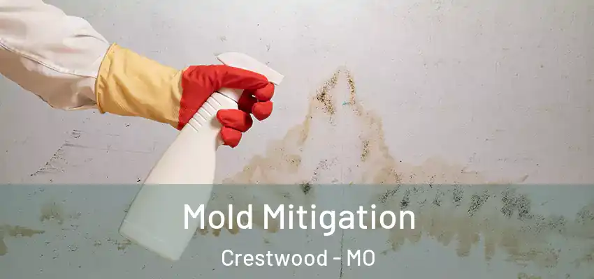  Mold Mitigation Crestwood - MO