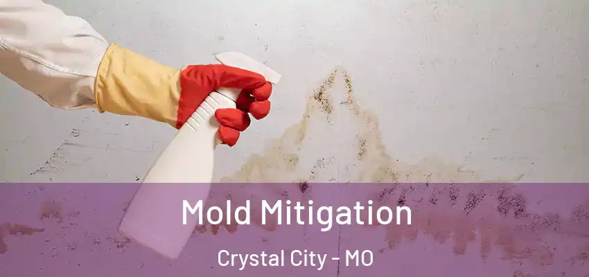  Mold Mitigation Crystal City - MO