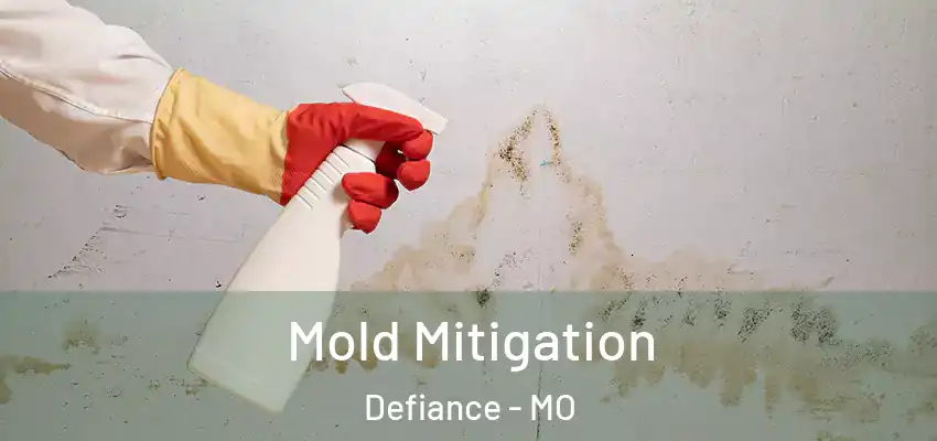  Mold Mitigation Defiance - MO