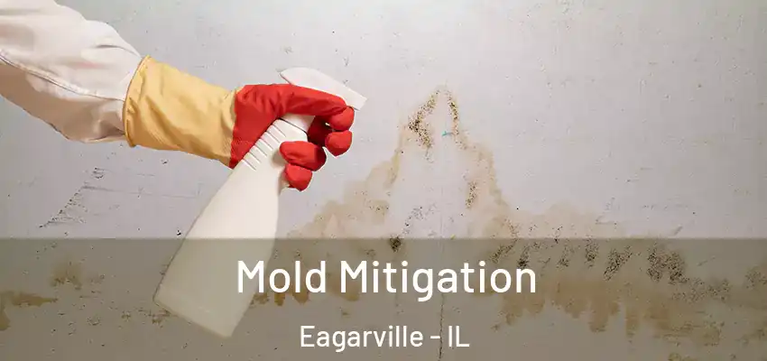  Mold Mitigation Eagarville - IL