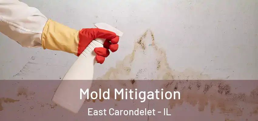  Mold Mitigation East Carondelet - IL