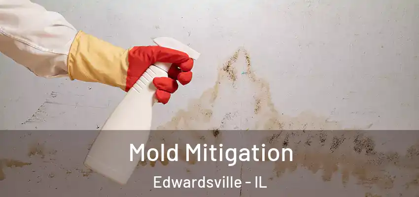  Mold Mitigation Edwardsville - IL