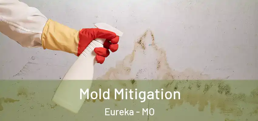Mold Mitigation Eureka - MO