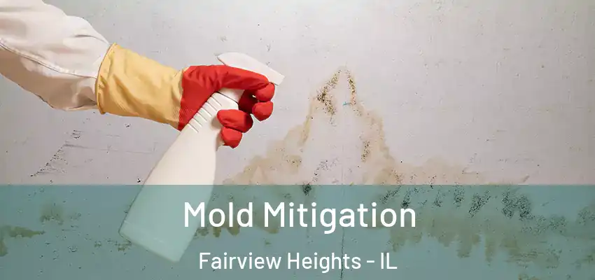  Mold Mitigation Fairview Heights - IL