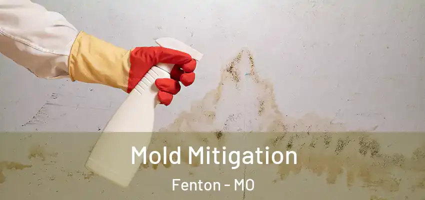  Mold Mitigation Fenton - MO
