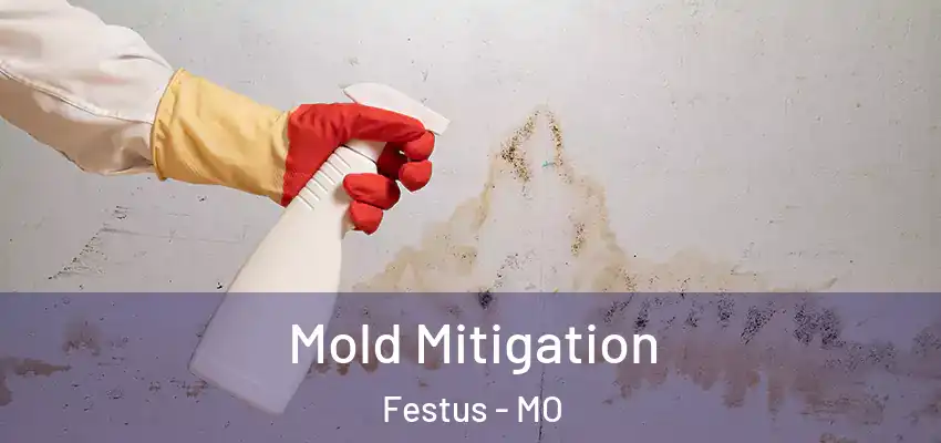 Mold Mitigation Festus - MO
