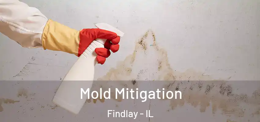 Mold Mitigation Findlay - IL
