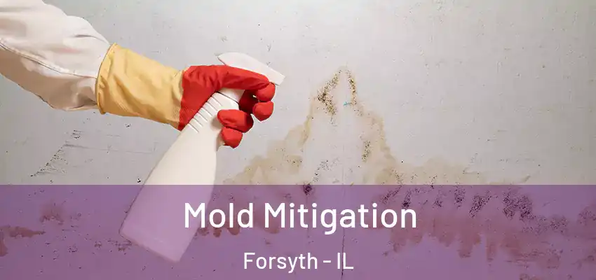Mold Mitigation Forsyth - IL