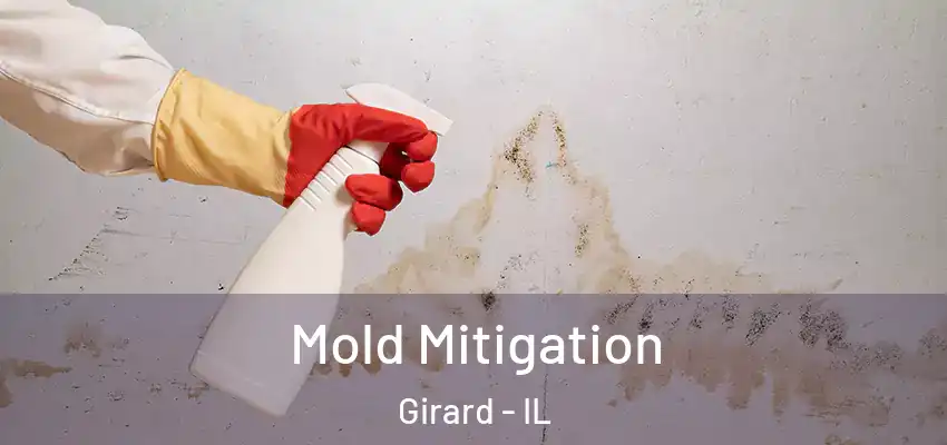  Mold Mitigation Girard - IL