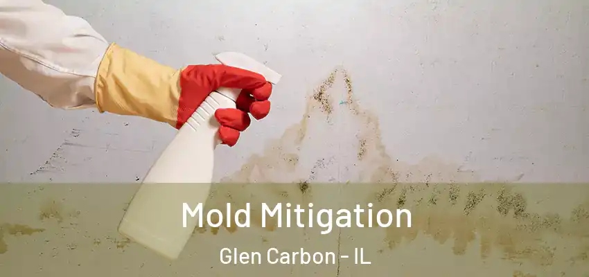  Mold Mitigation Glen Carbon - IL