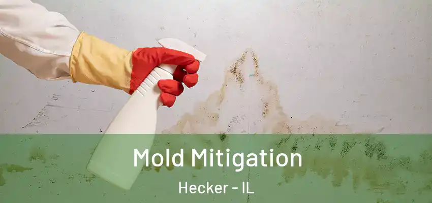 Mold Mitigation Hecker - IL