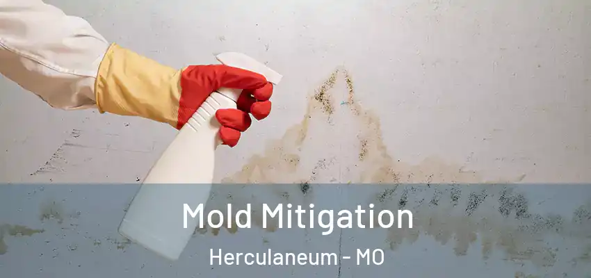 Mold Mitigation Herculaneum - MO