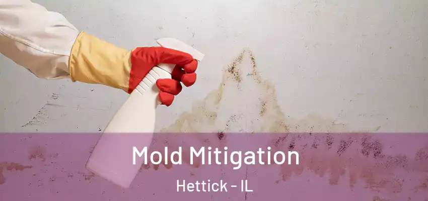 Mold Mitigation Hettick - IL