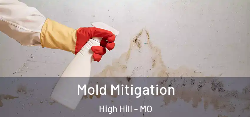 Mold Mitigation High Hill - MO