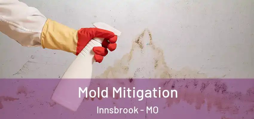 Mold Mitigation Innsbrook - MO
