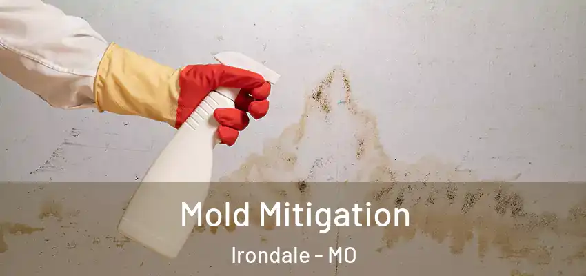 Mold Mitigation Irondale - MO