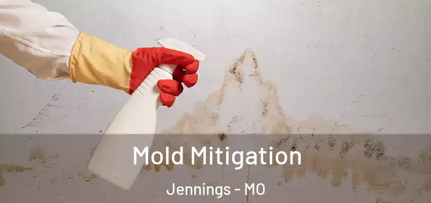  Mold Mitigation Jennings - MO