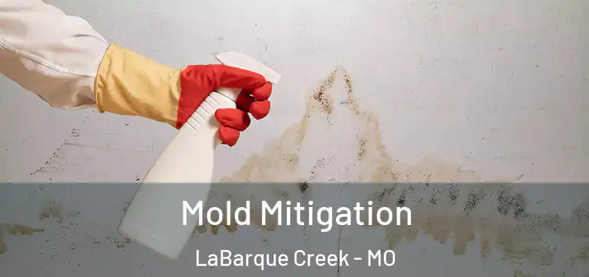  Mold Mitigation LaBarque Creek - MO