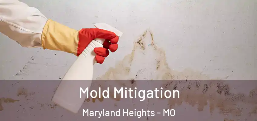  Mold Mitigation Maryland Heights - MO