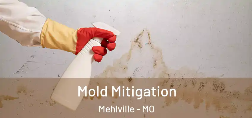Mold Mitigation Mehlville - MO